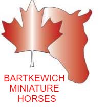 Bartkewich Miniatures